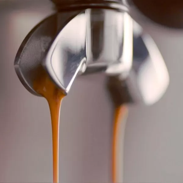 Espresso SAGE BES875BSS + Gril SAGE BGR840