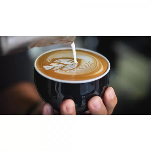 Espresso SAGE BES875BSS